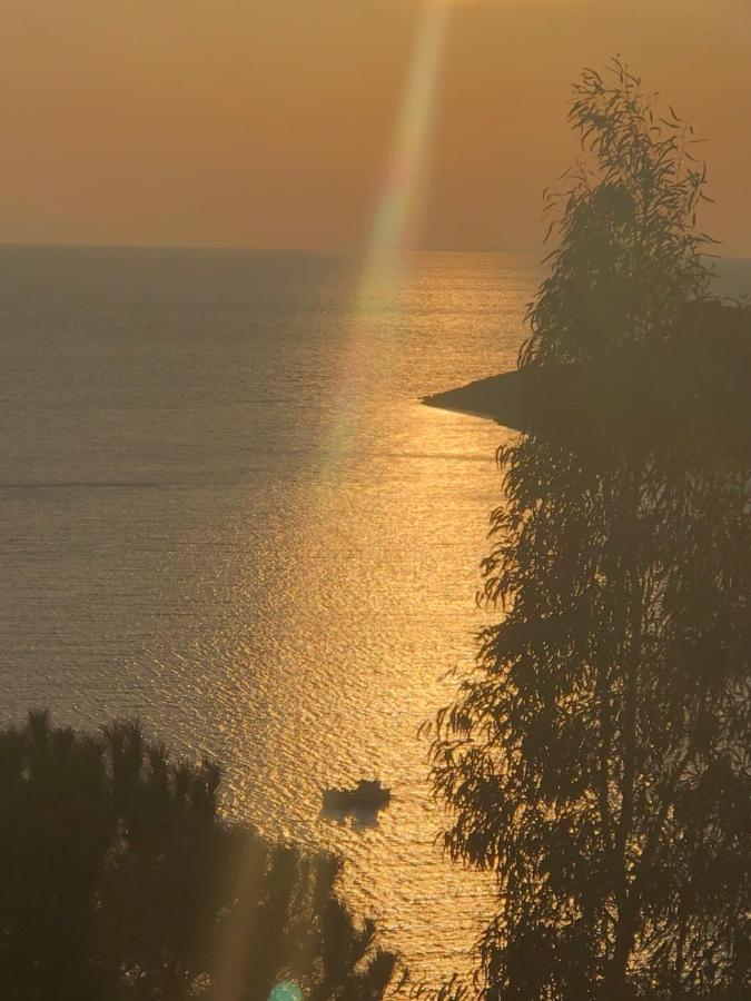 The Little House On The Hill Of Myrties Villa Exterior foto